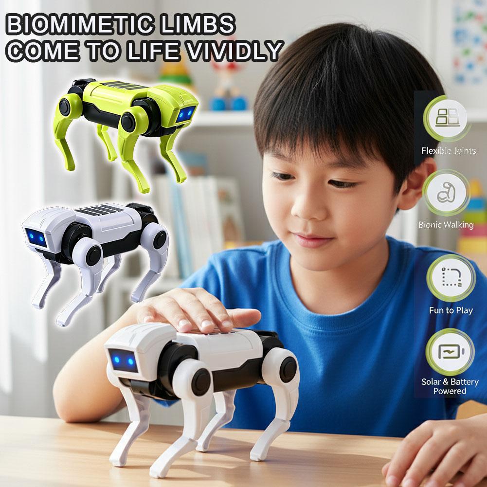 Science Robot - DIY 조립 RC 로봇 개 장난감