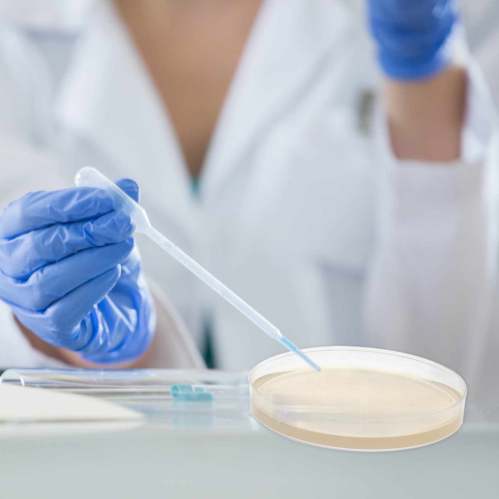 10개 영양 아가 플레이트, 사전 주입된 페트리 접시, - Science Project 리뷰 및 가격